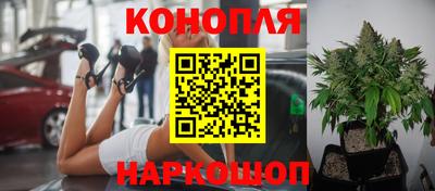 амф Будённовск