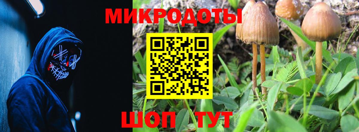 Псилоцибиновые грибы мухоморы Кондопога
